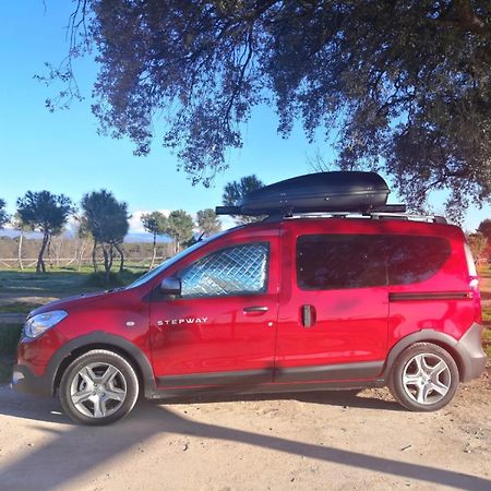 Dacia Dokker Camperiz Hotell Palma de Mallorca Exteriör bild